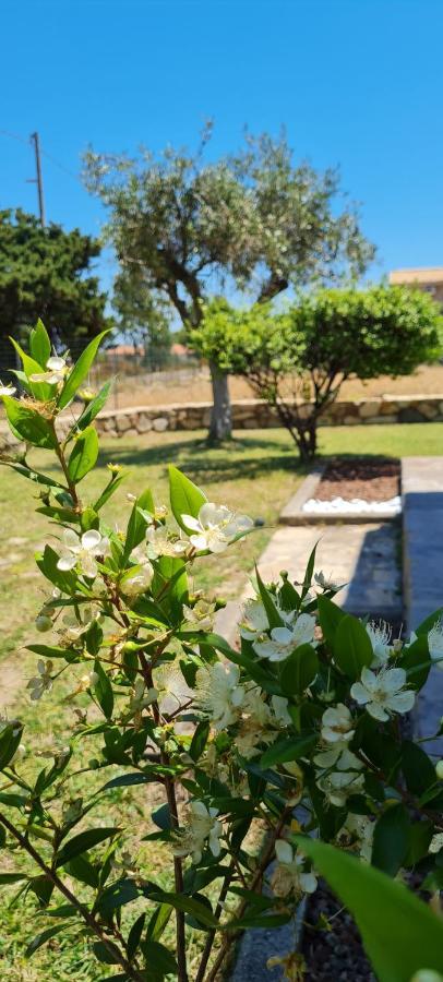 House Castiadas Tra Mare E Montagna מראה חיצוני תמונה